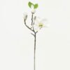 Artificial Flower Melatti 3 single stem GS-53623030-W1_5 Artificial Flower 13*13*49cm Melatti *3 single stem GS-53623030-W1 Single Flowers YeahFlower is one of Chinese leading OEM manufacturers and exporters , supplying the silk flowers, wholesale artificial trees