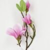 Artificial Flower 13*13*49cm Melatti *3 single stem GS-53623030-Z1 Single Flowers YeahFlower is one of Chinese leading OEM manufacturers and exporters , supplying the silk flowers, wholesale artificial trees