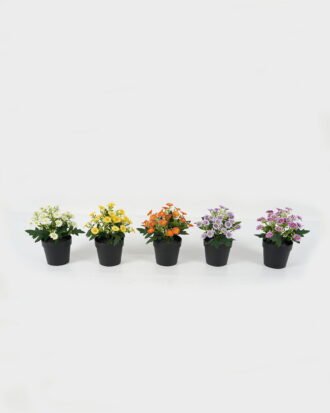 Artificial Flower 15*15*19cm Mini Mum in PP pot GS-03323035 Potted Flowers&Plants YeahFlower is one of Chinese leading OEM manufacturers and exporters , supplying the silk flowers, wholesale artificial trees