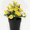 Artificial Flower 15*15*19cm Mini Mum in PP pot GS-03323035 Potted Flowers&Plants YeahFlower is one of Chinese leading OEM manufacturers and exporters , supplying the silk flowers, wholesale artificial trees