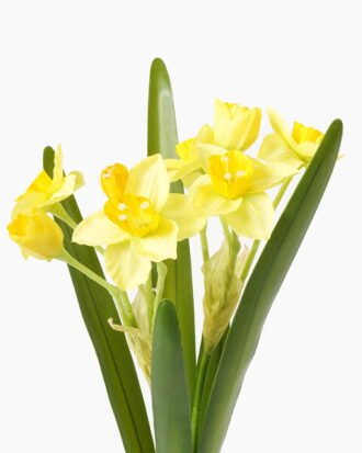 Artificial Flower 20*20*54cm Narcissus *2 GS-00523001-Y2 Flowers Bush YeahFlower is one of Chinese leading OEM manufacturers and exporters , supplying the silk flowers, wholesale artificial trees Artificial Flower 20*20*54cm Narcissus *2 GS-00523001-Y2 Flowers Bush YeahFlower is one of Chinese leading OEM manufacturers and exporters , supplying the silk flowers, wholesale artificial trees