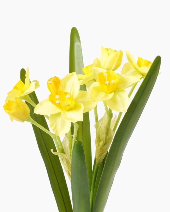 Artificial Flower 20*20*54cm Narcissus *2 GS-00523001-Y2 Flowers Bush YeahFlower is one of Chinese leading OEM manufacturers and exporters , supplying the silk flowers, wholesale artificial trees