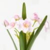 Artificial Flower Narcissus 2 GS-00523001_2 Artificial Flower 20*20*54cm Narcissus *2 GS-00523001 Flowers Bush YeahFlower is one of Chinese leading OEM manufacturers and exporters , supplying the silk flowers, wholesale artificial trees