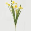 Artificial Flower Narcissus 2 GS-00523013-W2_5 Artificial Flower 18*18*44cm Narcissus *2 GS-00523013-W2 Flowers Bush YeahFlower is one of Chinese leading OEM manufacturers and exporters , supplying the silk flowers, wholesale artificial trees
