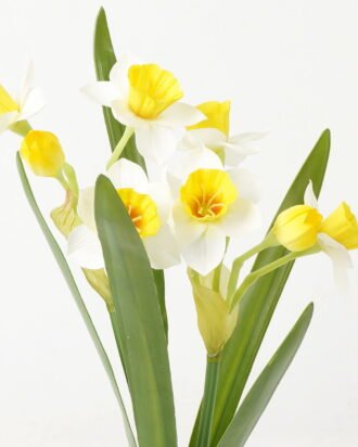 Artificial Flower 18*18*44cm Narcissus *2 GS-00523013-W2 Flowers Bush YeahFlower is one of Chinese leading OEM manufacturers and exporters , supplying the silk flowers, wholesale artificial trees Artificial Flower 18*18*44cm Narcissus *2 GS-00523013-W2 Flowers Bush YeahFlower is one of Chinese leading OEM manufacturers and exporters , supplying the silk flowers, wholesale artificial trees