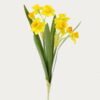 Artificial Flower 18*18*44cm Narcissus *2 GS-00523013-Y1 Flowers Bush YeahFlower is one of Chinese leading OEM manufacturers and exporters , supplying the silk flowers, wholesale artificial trees