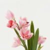 Artificial Flower Orchid 2 GS-00523007-P1_5 Artificial Flower 14*14*49cm Orchid * 2 GS-00523007-P1 Flowers Bush YeahFlower is one of Chinese leading OEM manufacturers and exporters , supplying the silk flowers, wholesale artificial trees