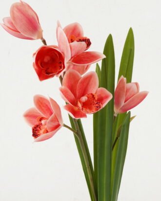 Artificial Flower 14*14*49cm Orchid * 2 GS-00523007-P3 Flowers Bush YeahFlower is one of Chinese leading OEM manufacturers and exporters , supplying the silk flowers, wholesale artificial trees Artificial Flower 14*14*49cm Orchid * 2 GS-00523007-P3 Flowers Bush YeahFlower is one of Chinese leading OEM manufacturers and exporters , supplying the silk flowers, wholesale artificial trees