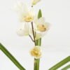 Artificial Flower Orchid 2 GS-00523007-W1_6 Artificial Flower 14*14*49cm Orchid * 2 GS-00523007-W1 Flowers Bush YeahFlower is one of Chinese leading OEM manufacturers and exporters , supplying the silk flowers, wholesale artificial trees