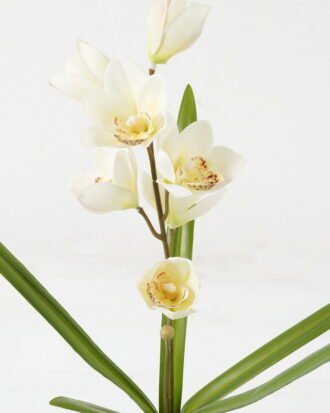 Artificial Flower 14*14*49cm Orchid * 2 GS-00523007-W1 Flowers Bush YeahFlower is one of Chinese leading OEM manufacturers and exporters , supplying the silk flowers, wholesale artificial trees Artificial Flower 14*14*49cm Orchid * 2 GS-00523007-W1 Flowers Bush YeahFlower is one of Chinese leading OEM manufacturers and exporters , supplying the silk flowers, wholesale artificial trees