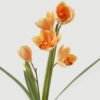 Artificial Flower Orchid 2 GS-00523007_2 Artificial Flower 14*14*49cm Orchid * 2 GS-00523007 Flowers Bush YeahFlower is one of Chinese leading OEM manufacturers and exporters , supplying the silk flowers, wholesale artificial trees