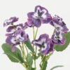 Artificial Flower Pansy 5 bush GS-53623035-Z2_1 Artificial Flower 22*22*34cm Pansy *5 bush GS-53623035-Z2 Flowers Bush YeahFlower is one of Chinese leading OEM manufacturers and exporters , supplying the silk flowers, wholesale artificial trees