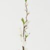 Artificial Flower 9*9*89cm Peach blossom single stem GS-53623012-W1 Single Flowers YeahFlower is one of Chinese leading OEM manufacturers and exporters , supplying the silk flowers, wholesale artificial trees