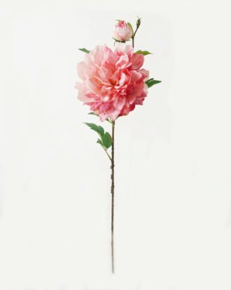 Artificial Flower 24*24*73cm Peony * 2 GS-00523012-P1 Single Flowers YeahFlower is one of Chinese leading OEM manufacturers and exporters , supplying the silk flowers, wholesale artificial trees Artificial Flower 24*24*73cm Peony * 2 GS-00523012-P1 Single Flowers YeahFlower is one of Chinese leading OEM manufacturers and exporters , supplying the silk flowers, wholesale artificial trees