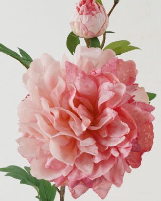 Artificial Flower 24*24*73cm Peony * 2 GS-00523012-P1 Single Flowers YeahFlower is one of Chinese leading OEM manufacturers and exporters , supplying the silk flowers, wholesale artificial trees Artificial Flower 24*24*73cm Peony * 2 GS-00523012-P1 Single Flowers YeahFlower is one of Chinese leading OEM manufacturers and exporters , supplying the silk flowers, wholesale artificial trees