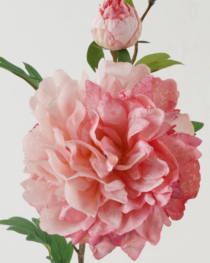 Artificial Flower 24*24*73cm Peony * 2 GS-00523012-P1 Single Flowers YeahFlower is one of Chinese leading OEM manufacturers and exporters , supplying the silk flowers, wholesale artificial trees