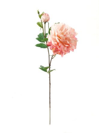 Artificial Flower 24*24*73cm Peony * 2 GS-00523012-P1 Single Flowers 3,000+ sqm showroom with thousands of artificial flowers, plants & trees ready for global sourcing.