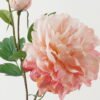 Artificial Flower Peony 2 GS-00523012-P2_2 Artificial Flower 24*24*73cm Peony * 2 GS-00523012-P2 Single Flowers YeahFlower is one of Chinese leading OEM manufacturers and exporters , supplying the silk flowers, wholesale artificial trees