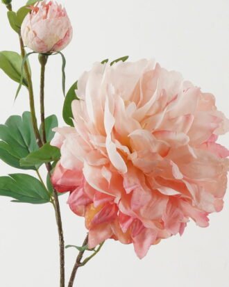 Artificial Flower 24*24*73cm Peony * 2 GS-00523012-P2 Single Flowers YeahFlower is one of Chinese leading OEM manufacturers and exporters , supplying the silk flowers, wholesale artificial trees Artificial Flower 24*24*73cm Peony * 2 GS-00523012-P2 Single Flowers YeahFlower is one of Chinese leading OEM manufacturers and exporters , supplying the silk flowers, wholesale artificial trees