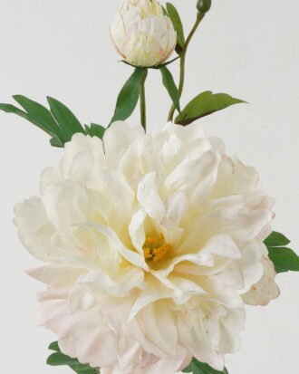 Artificial Flower 24*24*73cm Peony * 2 GS-00523012-W1 Single Flowers YeahFlower is one of Chinese leading OEM manufacturers and exporters , supplying the silk flowers, wholesale artificial trees Artificial Flower 24*24*73cm Peony * 2 GS-00523012-W1 Single Flowers YeahFlower is one of Chinese leading OEM manufacturers and exporters , supplying the silk flowers, wholesale artificial trees