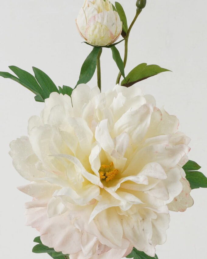 Artificial Flower 24*24*73cm Peony * 2 GS-00523012-W1 Single Flowers YeahFlower is one of Chinese leading OEM manufacturers and exporters , supplying the silk flowers, wholesale artificial trees