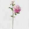 Artificial Flower Peony 2 GS-00523012-Z1_1 Artificial Flower 24*24*73cm Peony * 2 GS-00523012-Z1 Single Flowers YeahFlower is one of Chinese leading OEM manufacturers and exporters , supplying the silk flowers, wholesale artificial trees