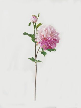 Artificial Flower 24*24*73cm Peony * 2 GS-00523012-W1 Single Flowers 3,000+ sqm showroom with thousands of artificial flowers, plants & trees ready for global sourcing.