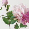 Artificial Flower Peony 2 GS-00523012-Z1_4 Artificial Flower 24*24*73cm Peony * 2 GS-00523012-Z1 Single Flowers YeahFlower is one of Chinese leading OEM manufacturers and exporters , supplying the silk flowers, wholesale artificial trees