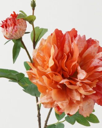 Artificial Flower 24*24*73cm Peony * 2 GS-00523012 Single Flowers YeahFlower is one of Chinese leading OEM manufacturers and exporters , supplying the silk flowers, wholesale artificial trees