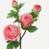 Artificial Flower Peony 4 GS-00523006-P1_1 Artificial Flower 26*26*63cm Peony * 4 GS-00523006-P1 Single Flowers YeahFlower is one of Chinese leading OEM manufacturers and exporters , supplying the silk flowers, wholesale artificial trees