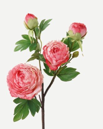 Artificial Flower 26*26*63cm Peony * 4 GS-00523006-P1 Single Flowers YeahFlower is one of Chinese leading OEM manufacturers and exporters , supplying the silk flowers, wholesale artificial trees Artificial Flower 26*26*63cm Peony * 4 GS-00523006-P1 Single Flowers YeahFlower is one of Chinese leading OEM manufacturers and exporters , supplying the silk flowers, wholesale artificial trees