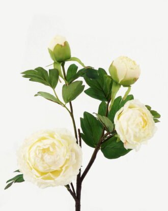 Artificial Flower 26*26*63cm Peony * 4 GS-00523006-W1 Single Flowers YeahFlower is one of Chinese leading OEM manufacturers and exporters , supplying the silk flowers, wholesale artificial trees