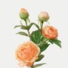 Artificial Flower Peony 4 GS-00523006_2 Artificial Flower 26*26*63cm Peony * 4 GS-00523006 Single Flowers YeahFlower is one of Chinese leading OEM manufacturers and exporters , supplying the silk flowers, wholesale artificial trees