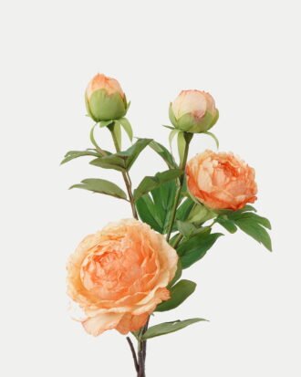 Artificial Flower 26*26*63cm Peony * 4 GS-00523006 Single Flowers YeahFlower is one of Chinese leading OEM manufacturers and exporters , supplying the silk flowers, wholesale artificial trees Artificial Flower 26*26*63cm Peony * 4 GS-00523006 Single Flowers YeahFlower is one of Chinese leading OEM manufacturers and exporters , supplying the silk flowers, wholesale artificial trees