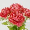 Artificial Flower 23*23*41cm Peony *7 bush GS-18323003 Flowers Bush YeahFlower is one of Chinese leading OEM manufacturers and exporters , supplying the silk flowers, wholesale artificial trees
