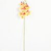 Artificial Flower Phalaenopsis 5 single stem GS-64923006-O1_1 Artificial Flower 15*67cm Phalaenopsis *5 single stem GS-64923006-O1 Single Flowers YeahFlower is one of Chinese leading OEM manufacturers and exporters , supplying the silk flowers, wholesale artificial trees