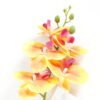 Artificial Flower Phalaenopsis 5 single stem GS-64923006-O1_2 Artificial Flower 15*67cm Phalaenopsis *5 single stem GS-64923006-O1 Single Flowers YeahFlower is one of Chinese leading OEM manufacturers and exporters , supplying the silk flowers, wholesale artificial trees