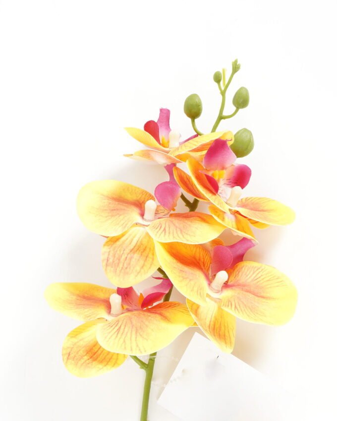 Artificial Flower Phalaenopsis 5 single stem GS-64923006-O1_2 Artificial Flower 15*67cm Phalaenopsis *5 single stem GS-64923006-O1 Single Flowers YeahFlower is one of Chinese leading OEM manufacturers and exporters , supplying the silk flowers, wholesale artificial trees