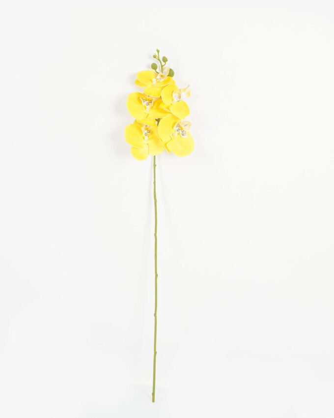 Artificial Flower Phalaenopsis 5 single stem GS-64923006-O1_3 Artificial Flower 15*67cm Phalaenopsis *5 single stem GS-64923006-O1 Single Flowers YeahFlower is one of Chinese leading OEM manufacturers and exporters , supplying the silk flowers, wholesale artificial trees