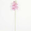 Artificial Flower 15*67cm Phalaenopsis *5 single stem GS-64923006-P2 Single Flowers YeahFlower is one of Chinese leading OEM manufacturers and exporters , supplying the silk flowers, wholesale artificial trees