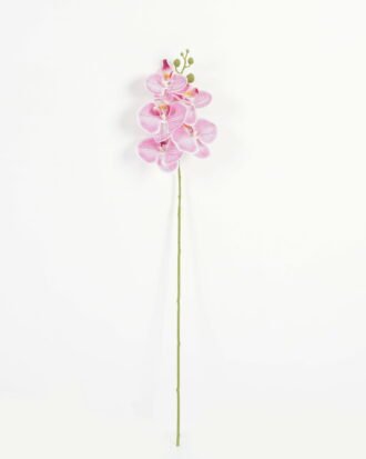 Artificial Flower 15*67cm Phalaenopsis *5 single stem GS-64923006-P2 Single Flowers YeahFlower is one of Chinese leading OEM manufacturers and exporters , supplying the silk flowers, wholesale artificial trees
