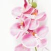 Artificial Flower 15*67cm Phalaenopsis *5 single stem GS-64923006-P2 Single Flowers YeahFlower is one of Chinese leading OEM manufacturers and exporters , supplying the silk flowers, wholesale artificial trees