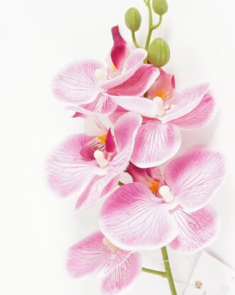 Artificial Flower 15*67cm Phalaenopsis *5 single stem GS-64923006-P2 Single Flowers YeahFlower is one of Chinese leading OEM manufacturers and exporters , supplying the silk flowers, wholesale artificial trees