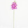 Artificial Flower 15*67cm Phalaenopsis *5 single stem GS-64923006-P2 Single Flowers YeahFlower is one of Chinese leading OEM manufacturers and exporters , supplying the silk flowers, wholesale artificial trees