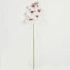 Artificial Flower 15*67cm Phalaenopsis *5 single stem GS-64923006-W1 Single Flowers YeahFlower is one of Chinese leading OEM manufacturers and exporters , supplying the silk flowers, wholesale artificial trees