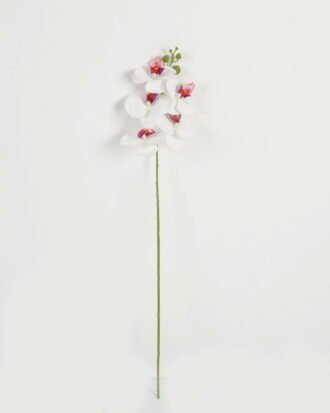 Artificial Flower 15*67cm Phalaenopsis *5 single stem GS-64923006-W1 Single Flowers YeahFlower is one of Chinese leading OEM manufacturers and exporters , supplying the silk flowers, wholesale artificial trees