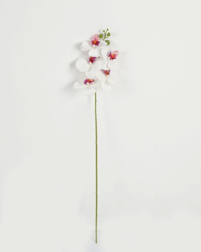 Artificial Flower 15*67cm Phalaenopsis *5 single stem GS-64923006-W1 Single Flowers YeahFlower is one of Chinese leading OEM manufacturers and exporters , supplying the silk flowers, wholesale artificial trees