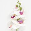 Artificial Flower 15*67cm Phalaenopsis *5 single stem GS-64923006-W1 Single Flowers YeahFlower is one of Chinese leading OEM manufacturers and exporters , supplying the silk flowers, wholesale artificial trees