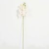 Artificial Flower 15*67cm Phalaenopsis *5 single stem GS-64923006-W1 Single Flowers YeahFlower is one of Chinese leading OEM manufacturers and exporters , supplying the silk flowers, wholesale artificial trees