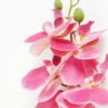 Artificial Flower Phalaenopsis 5 single stem GS-64923006_2 Artificial Flower 15*67cm Phalaenopsis *5 single stem GS-64923006 Single Flowers YeahFlower is one of Chinese leading OEM manufacturers and exporters , supplying the silk flowers, wholesale artificial trees